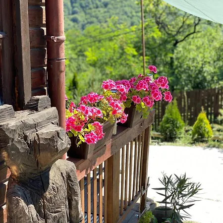 Chalet Husky-cabana Integrala