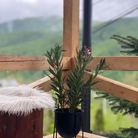 Chalet Husky-cabana Integrala